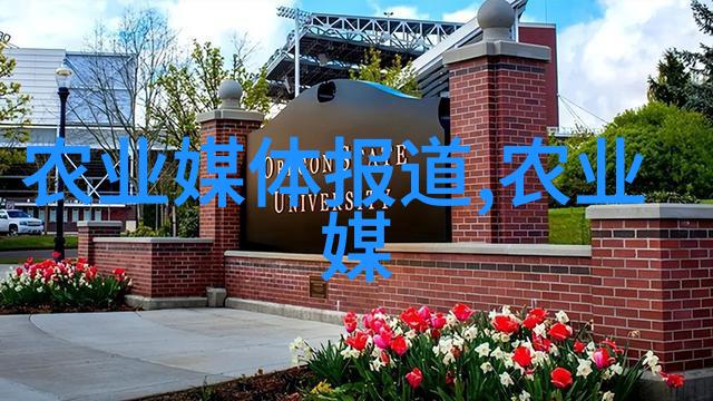 养母猪繁殖技术-提高育肥效率的科学饲养与管理策略