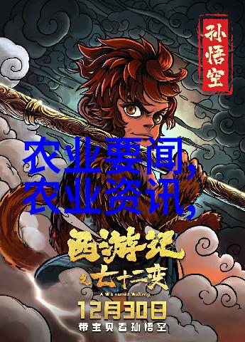 消防之翼守护城市的勇敢者