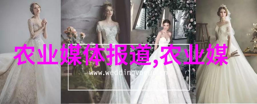 朴妮唛种子播种希望的女主播故事