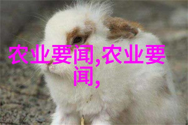 中国养殖养羊网畜牧业的新篇章