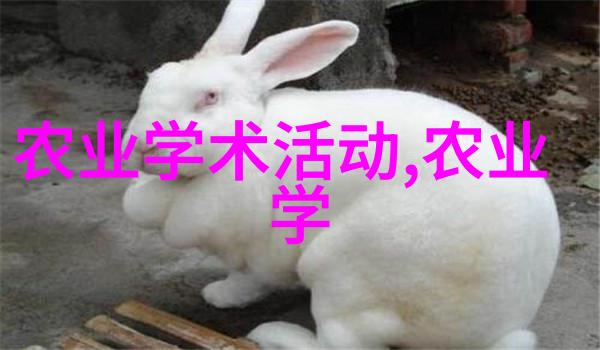 遮阳避雨大棚建造的经济效益分析