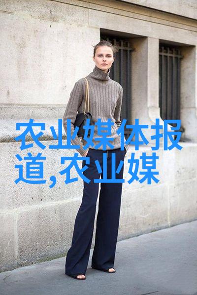 从山间野草到世界名品中国茶文化的传承与发展