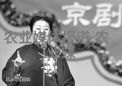 芸薹花间的韵味与药用价值