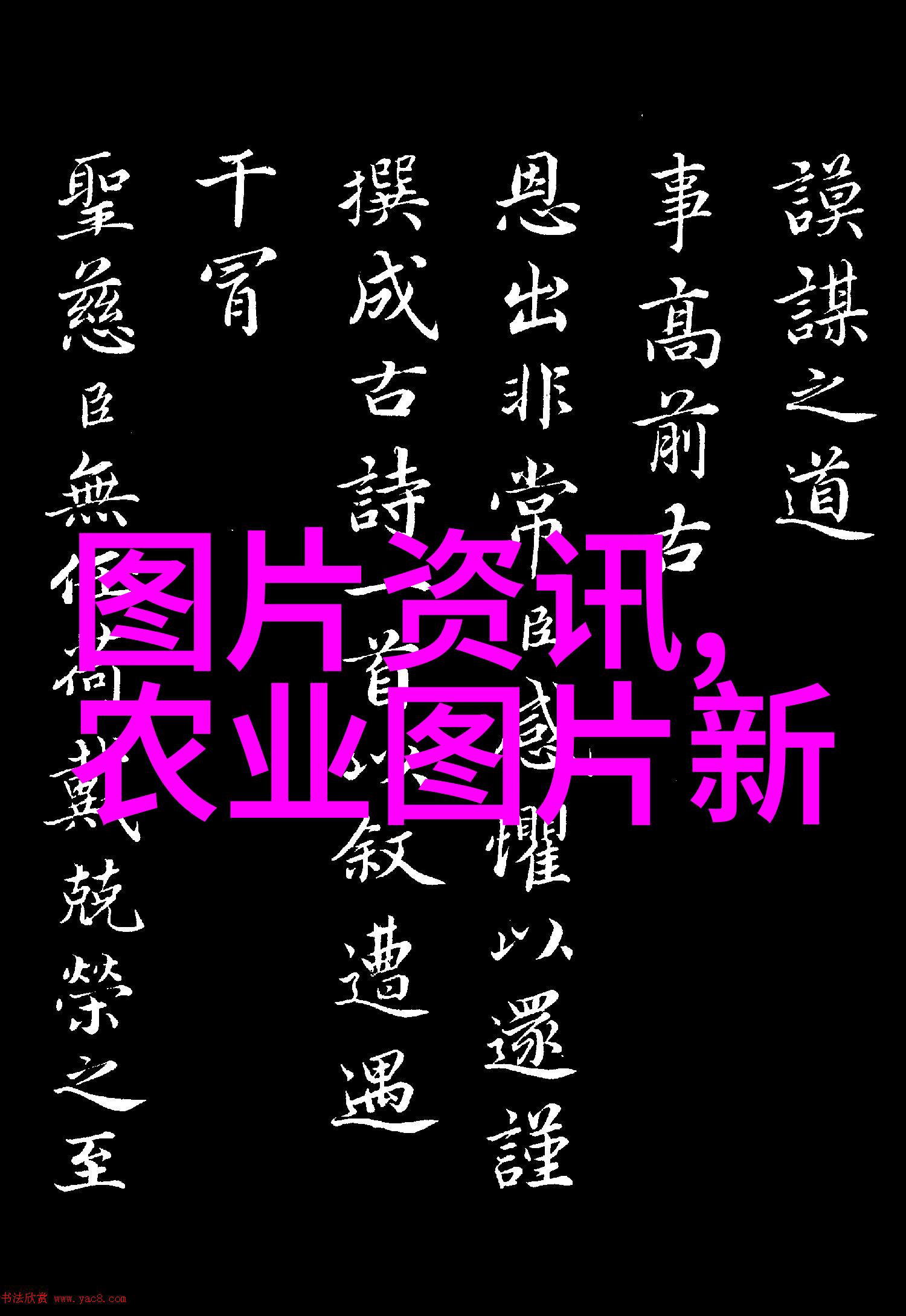 两会高层论坛深度对话国家发展战略