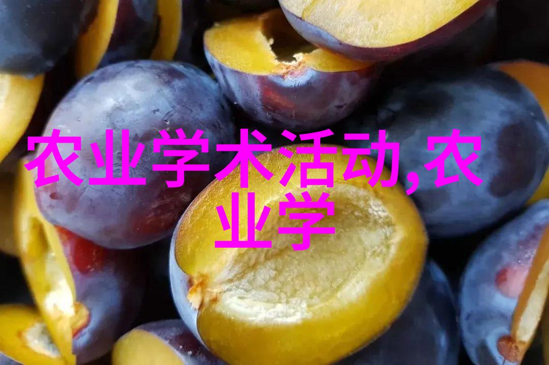 花海之谜斗南鲜花批发平台的秘密