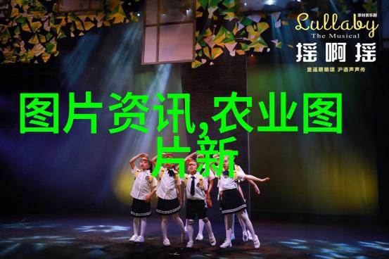 谷穗金黄稻谷烘干机的智慧与实用