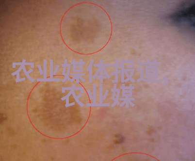 传统名茶的品味与艺术