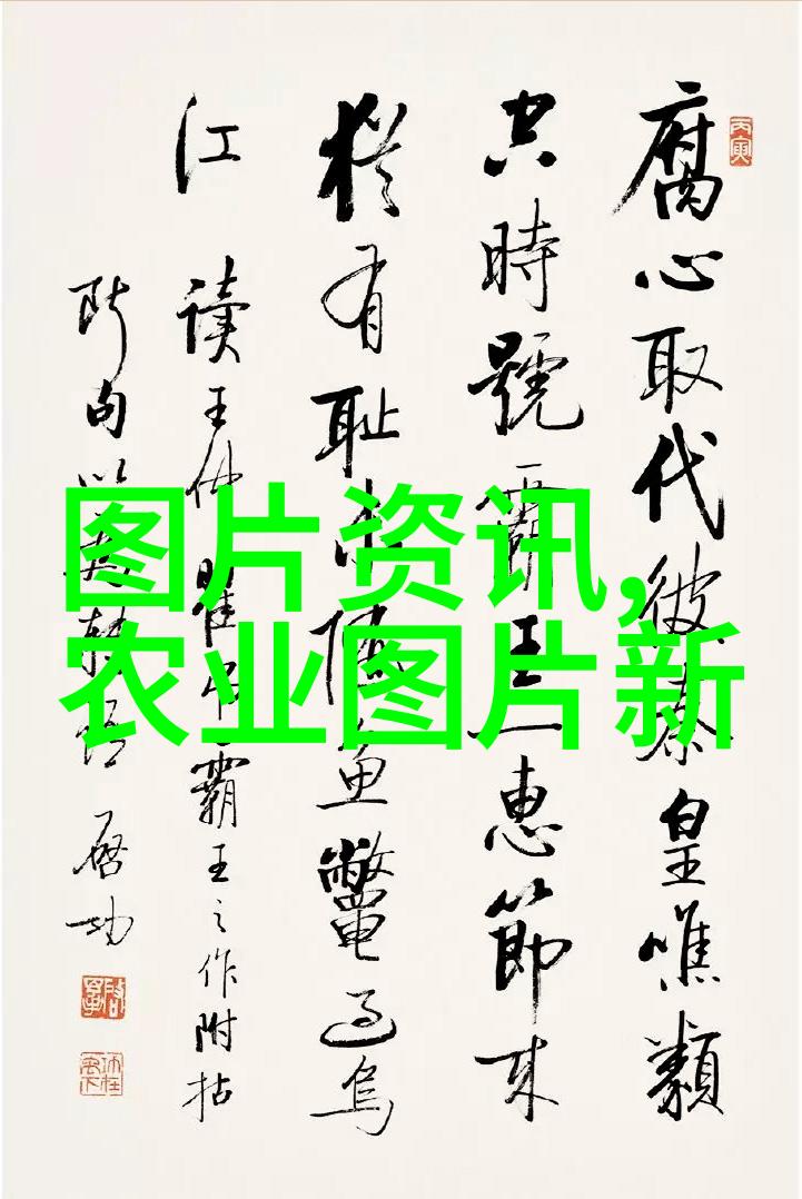 金线莲种子价格亲测揭秘花钱买回家的那一份安心