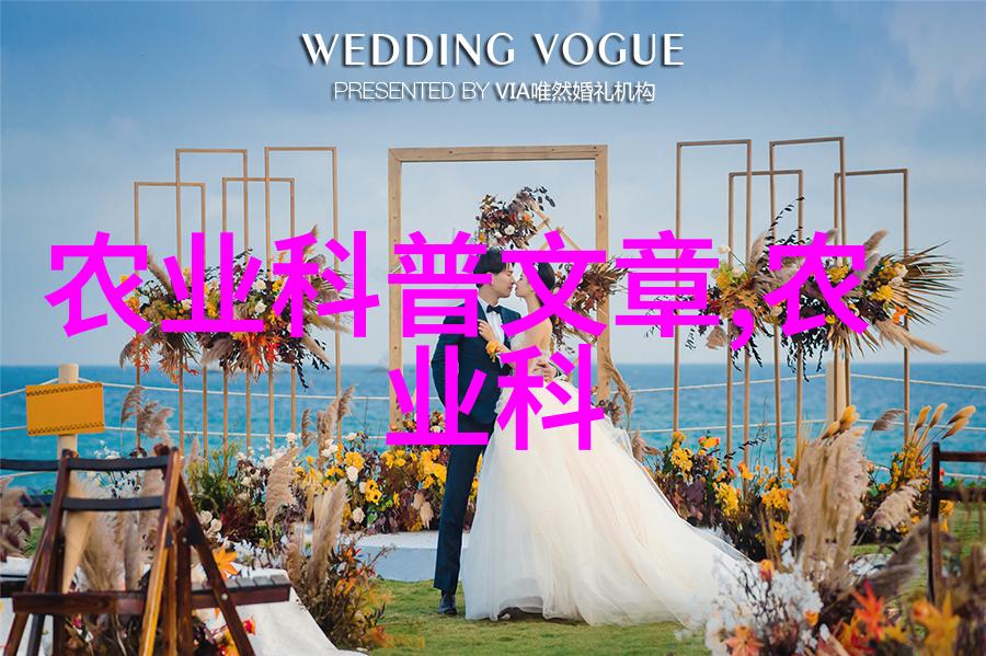 家庭花卉盆栽温馨家园的绿意盎然