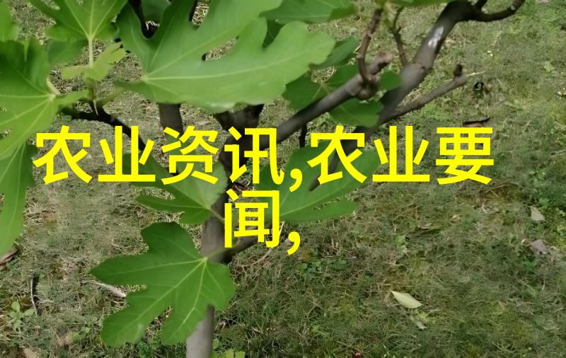 魔道祖师117章完整肉情节总结