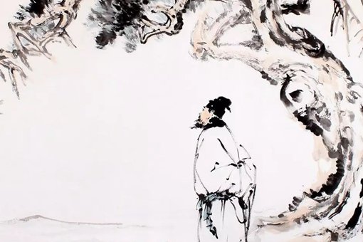 鸡毛菜图片探索古蔬新面貌