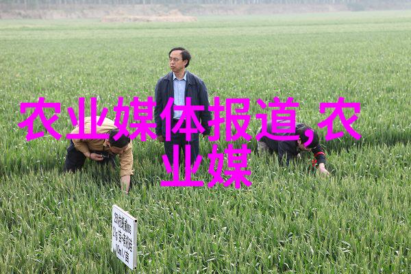 花园里的木本美探索常见100种花卉植物的魅力
