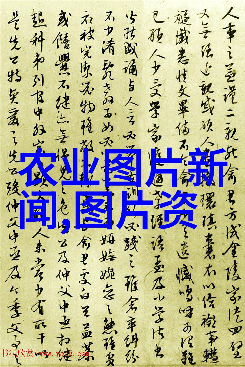 农业种植专家的咨询解锁高效种植策略