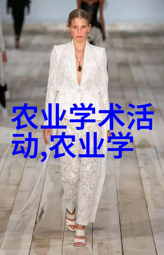 追溯美学公式TXT无删减的艺术探究