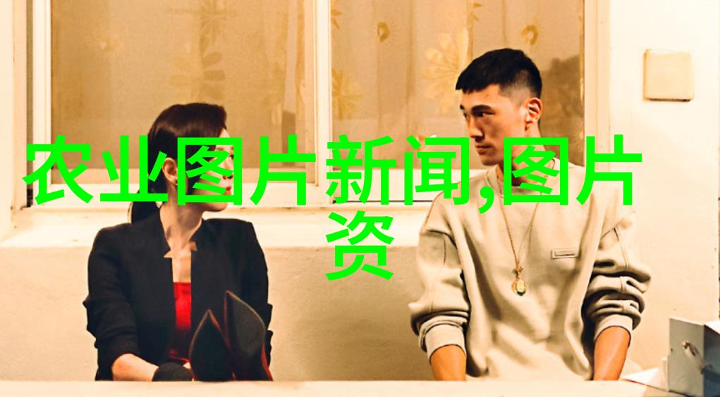 主题我的小小图书馆梦想360图书馆个人图书馆的奇妙征程