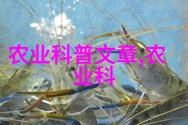 简单易种的水果我来教你种个甜蜜小秘密花园