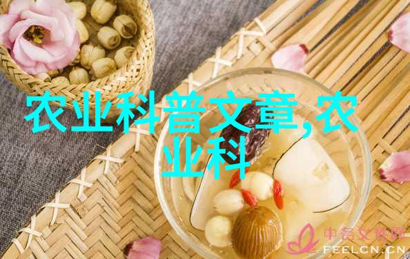 博山猕猴桃成熟时间何时中国养殖网公司解析自然因素影响