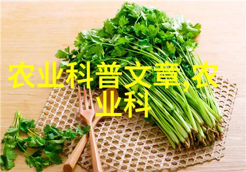 抓蜂王全过程视频观赏捕捉蜂群的精彩瞬间