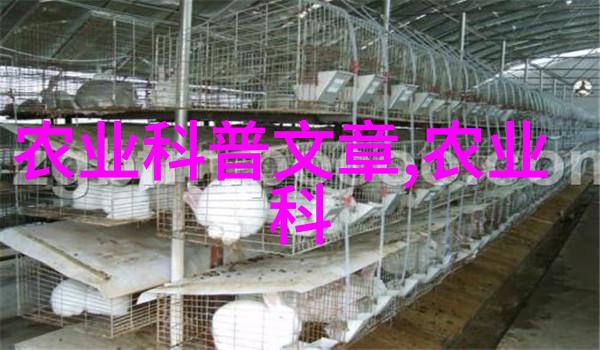 中药材种子的宝库探索传统与现代的植物遗产