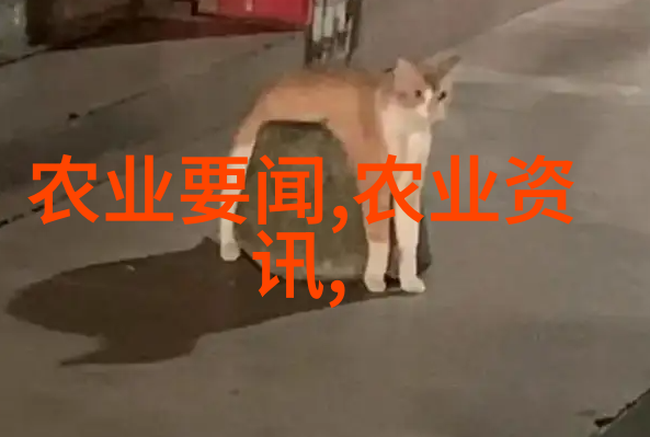 小型微耕机让你的菜园子也能参加聚会