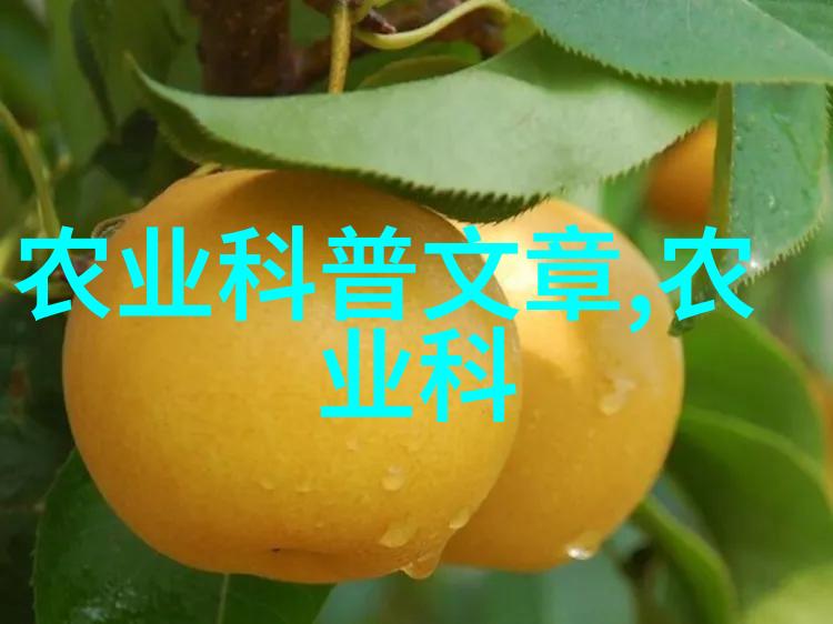 珍贵药材展览探秘世界上最昂贵的50种草本宝藏