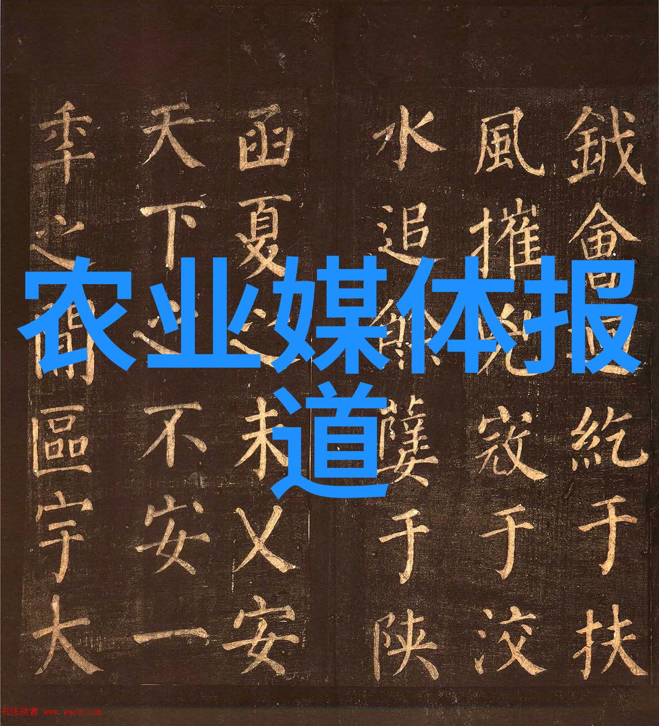 单招十大类详细专业-揭秘2023年单一招生十大热门专业行业前景与就业机会