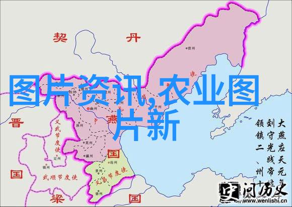 野趣探秘绿茵金针的守护者