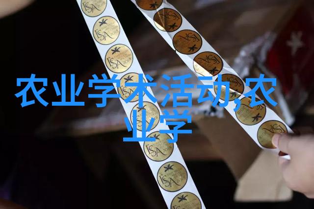 缅甸中文网新闻今日揭秘仰光新国际机场的奇迹建设