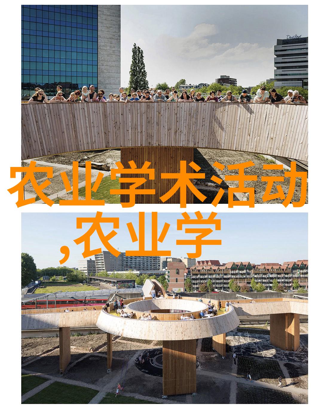 绿意盎然的室内园艺十佳盆景引领潮流