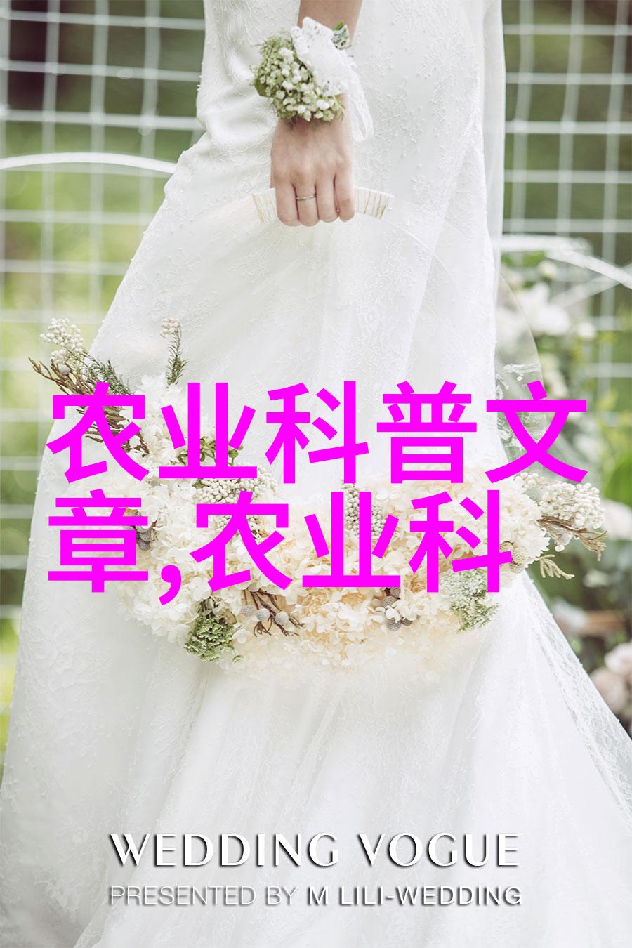 个人图书馆藏书之梦的私密空间