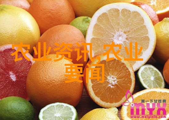 国家二十条新政策全面解读引领经济发展新格局
