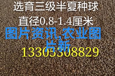 休闲农业与乡村旅游新时代农耕文化的复兴之旅