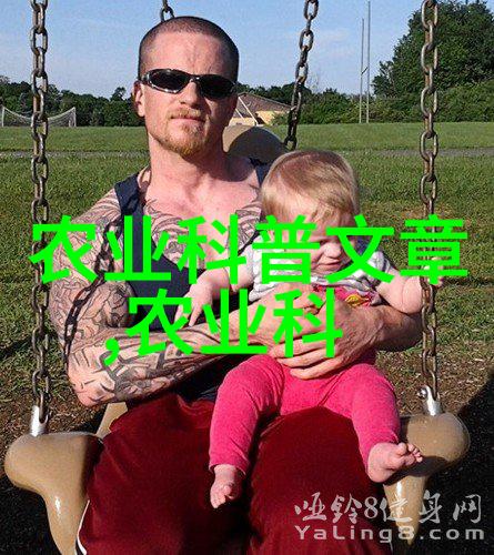 大棚种菜技术大全-精耕细作大棚内的高效种植技巧与经验总结