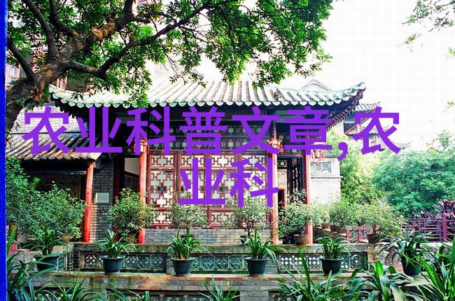 周而复始的晨曦解读晨曦by周而复始全文中的光与时节