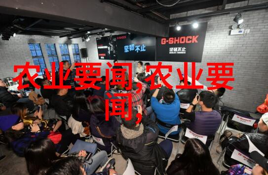 秋季大探秘8月到9月种植哪些作物能让秋天更丰收