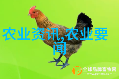 探索菌类文化从微生物到艺术与哲学的奇妙旅程