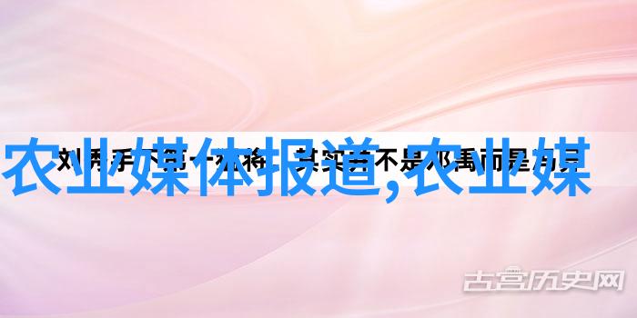 农村种植什么最好我来告诉你一个绝妙的秘密种上芋头