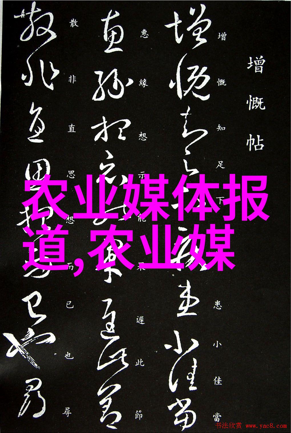 三个人日的我走不了路技术生活不易三人行必有我是