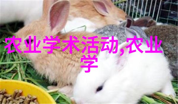 水产养殖证件认证图解养殖业务证明的重要性