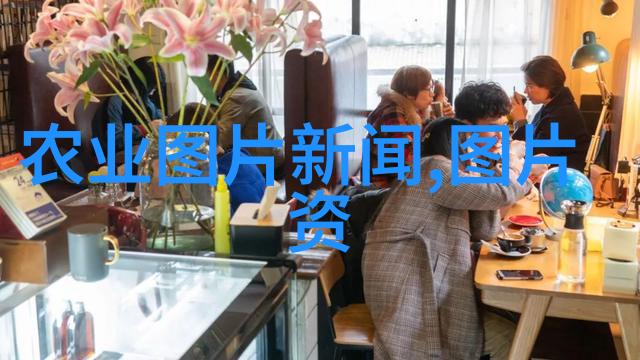 茶花与unlucky 的寓意背后故事