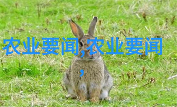 中药材价格变动哪些珍贵草本成交热门
