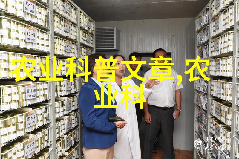 花龙戏凤翩跹的幻想