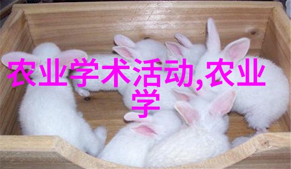 花卉百科亲爱的园友们让我们一起探索那些美丽花朵的秘密