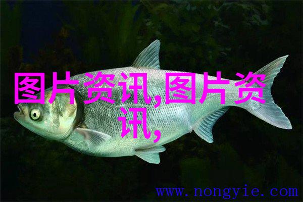 山东寿光无土栽培蔬菜技术我是怎么学会在寿光种蔬菜不用泥的