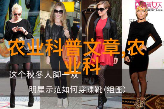 长期发展战略是怎样的以确保收益稳定且持续增长