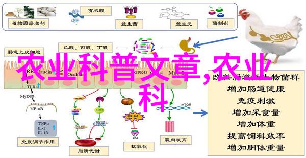 蔬菜大棚从土到天绿意盎然的现代农业奇迹