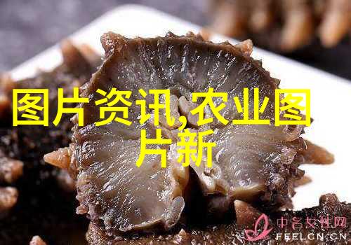 农广天地蔬菜种植大全 - 绿意盎然的家园从田间到餐桌的全方位指南