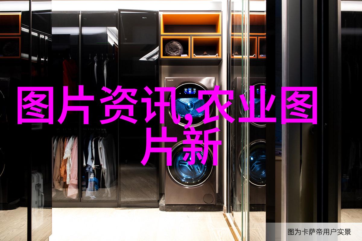 蜂群的两颗心脏如何应对一箱双重统治者的挑战