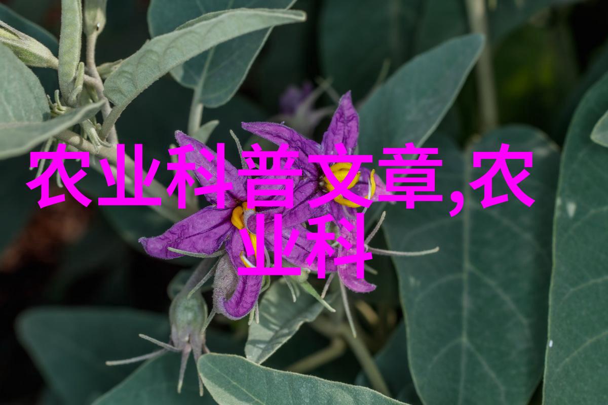 绿色致富路环境友好的养鱼方式在2021年的实践