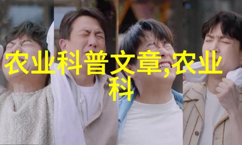 古色古香的传奇续写探秘楚留香的神剑秘术